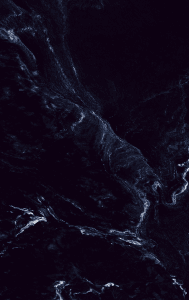 CRISSEL BLACK