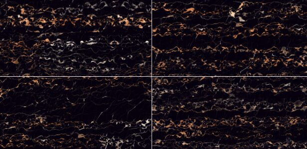 Gold Marquina