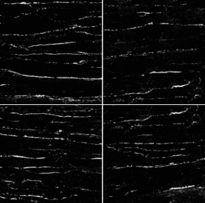 Sfumato Nero