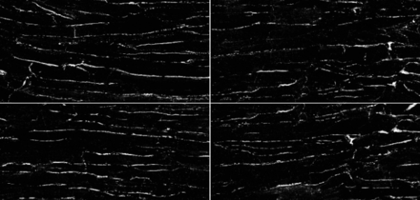 Sfumato Nero