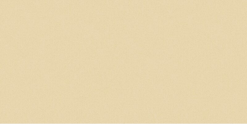 SNP Apricot - Image 2