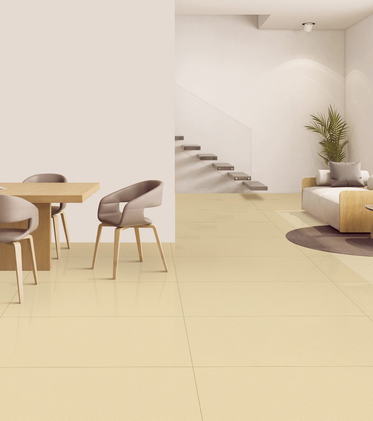 SNP Apricot - Image 3