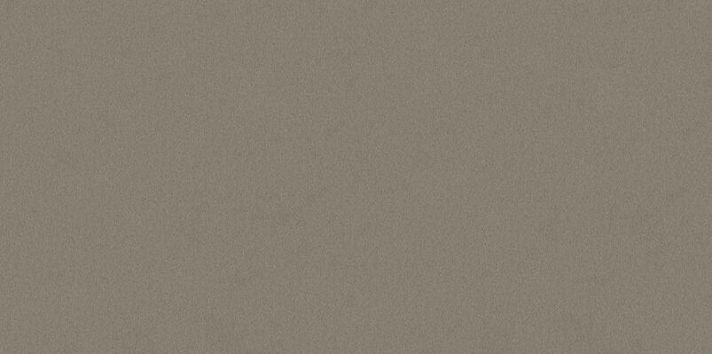 SNP Mushroom - Image 3